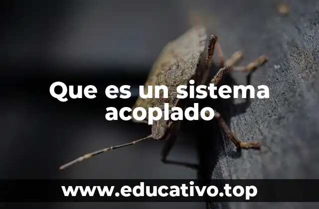 Que es un sistema acoplado