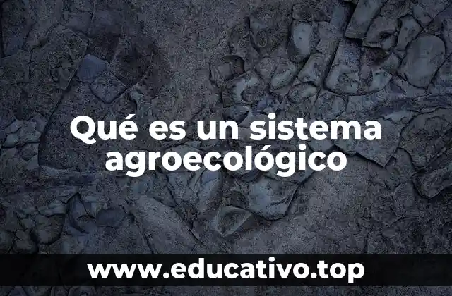 Qué es un sistema agroecológico