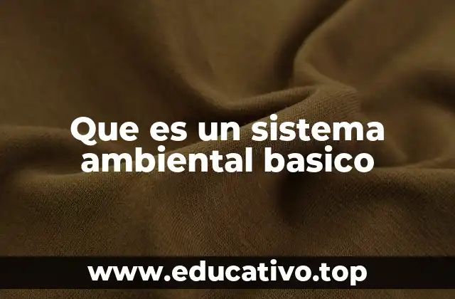Que es un sistema ambiental basico