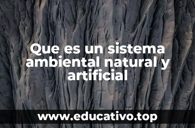 Que es un sistema ambiental natural y artificial