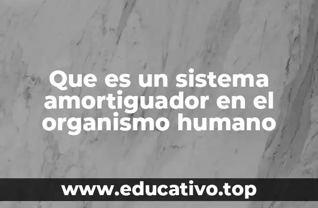 Que es un sistema amortiguador en el organismo humano