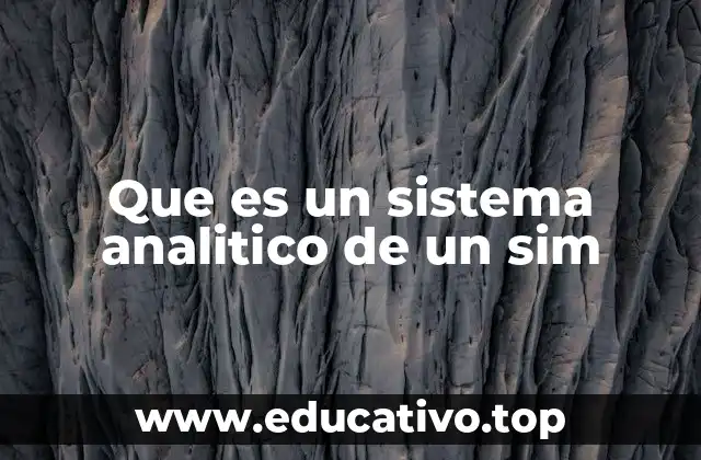 Que es un sistema analitico de un sim