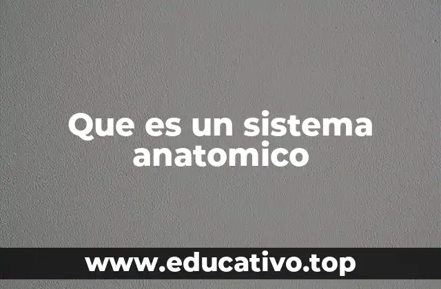 Que es un sistema anatomico
