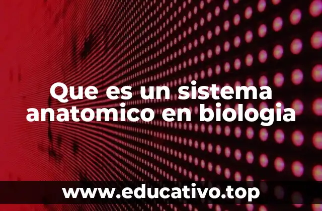 La organización del cuerpo a través de sistemas anatómicos