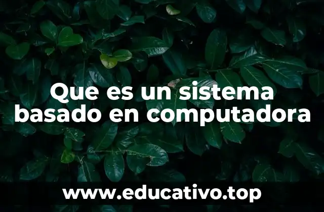 Que es un sistema basado en computadora