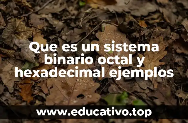 Que es un sistema binario octal y hexadecimal ejemplos
