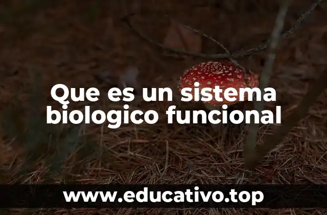 La interacción entre componentes vivos y no vivos en los sistemas biológicos