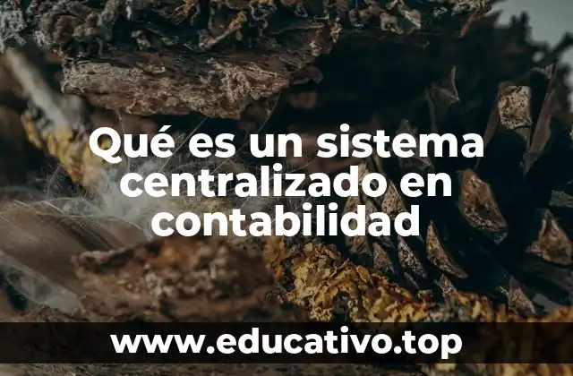 Qué es un sistema centralizado en contabilidad