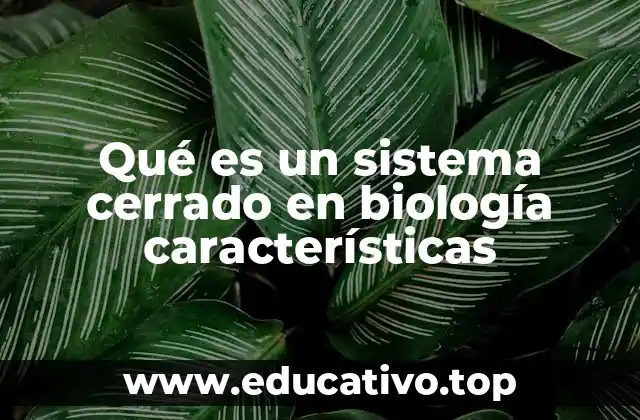 Qué es un sistema cerrado en biología características