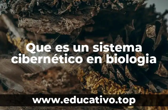 Que es un sistema cibernético en biologia