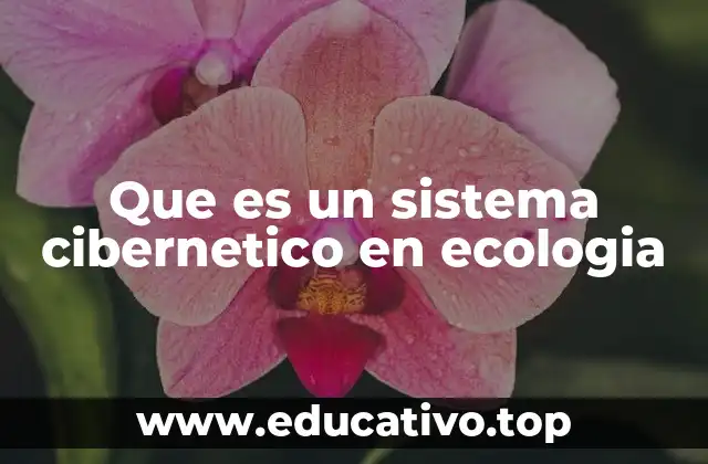Que es un sistema cibernetico en ecologia