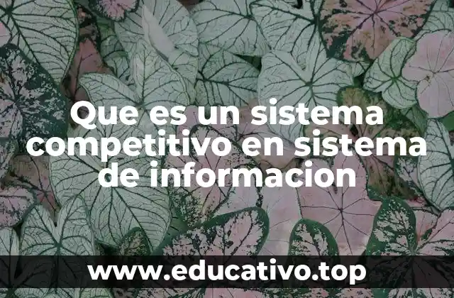 Que es un sistema competitivo en sistema de informacion