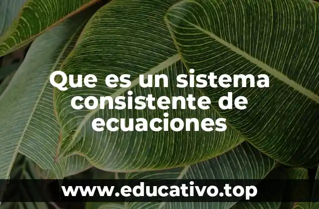 Que es un sistema consistente de ecuaciones