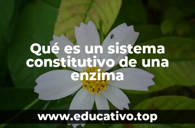Qué es un sistema constitutivo de una enzima