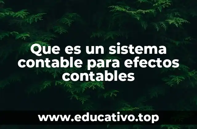 Que es un sistema contable para efectos contables