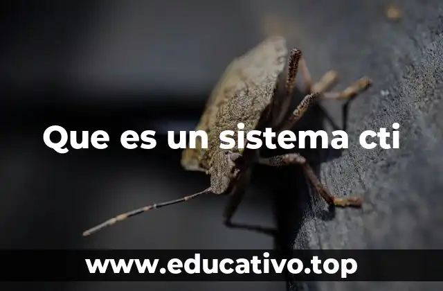 Que es un sistema cti