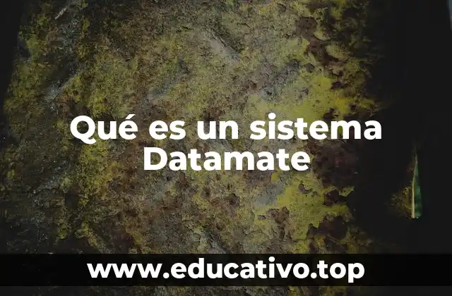 Qué es un sistema Datamate