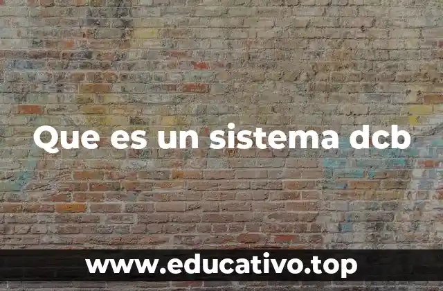 Que es un sistema dcb