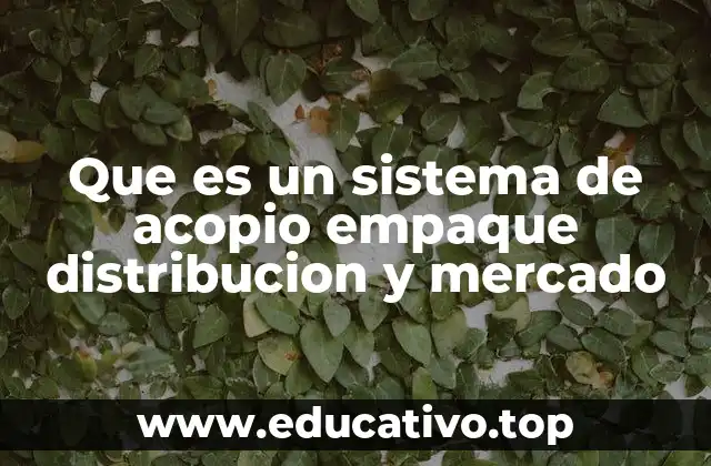 Que es un sistema de acopio empaque distribucion y mercado