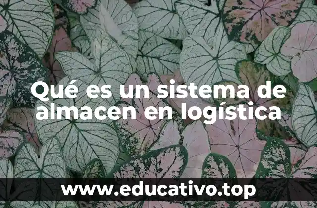 Qué es un sistema de almacen en logística
