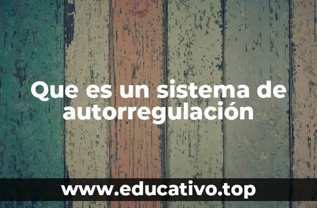 Que es un sistema de autorregulación
