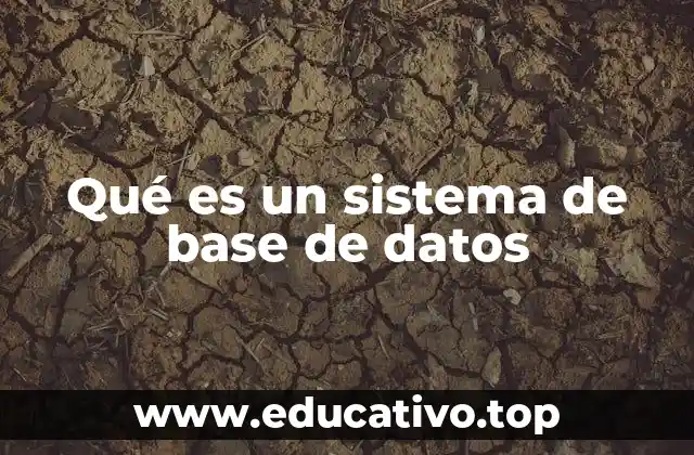 Qué es un sistema de base de datos