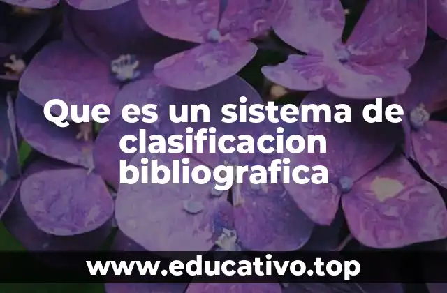 Que es un sistema de clasificacion bibliografica