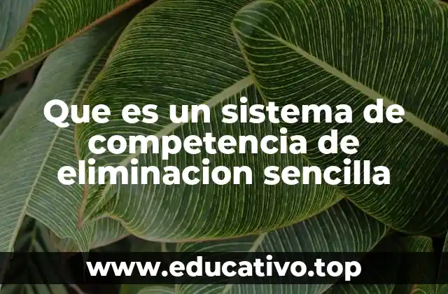 Que es un sistema de competencia de eliminacion sencilla