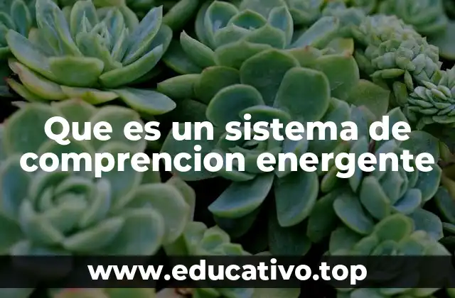 Que es un sistema de comprencion energente