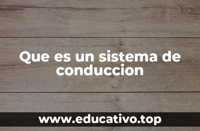Que es un sistema de conduccion