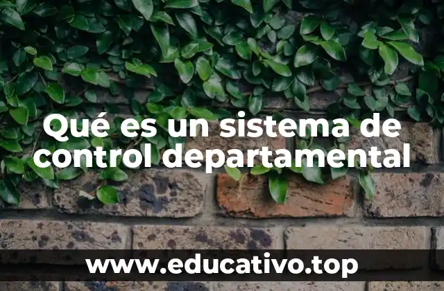 Qué es un sistema de control departamental