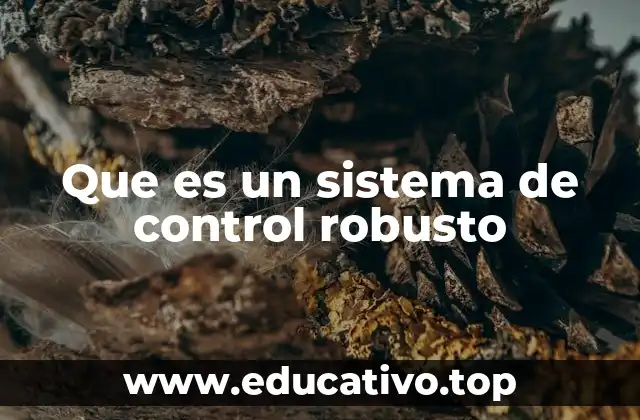 Que es un sistema de control robusto