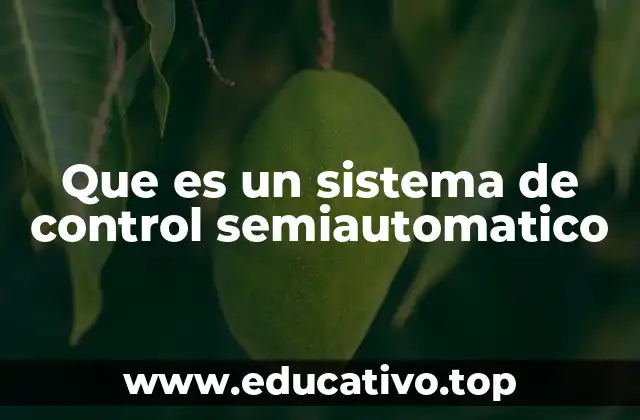 Que es un sistema de control semiautomatico