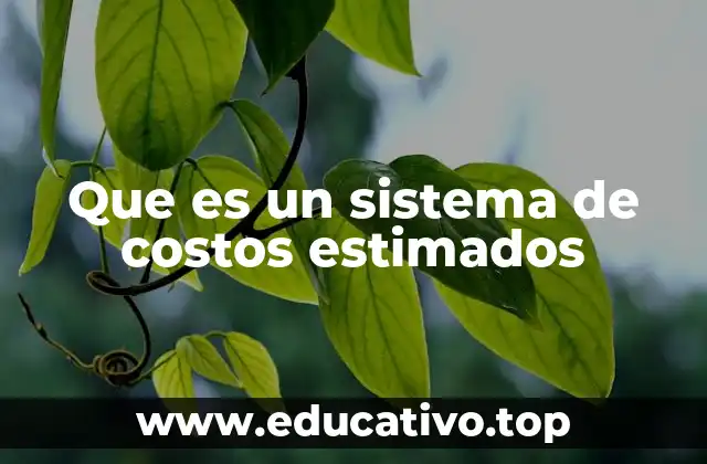 Que es un sistema de costos estimados