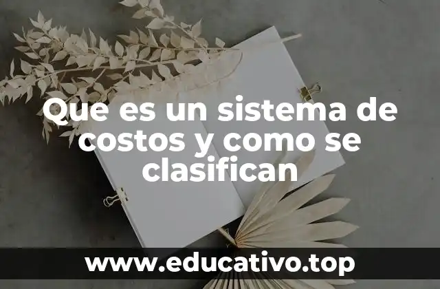 Que es un sistema de costos y como se clasifican
