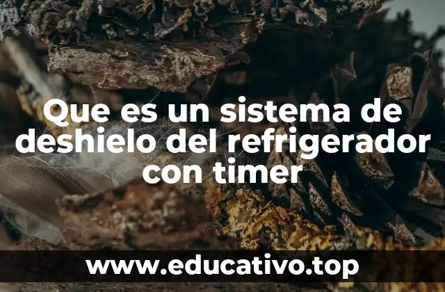 Que es un sistema de deshielo del refrigerador con timer