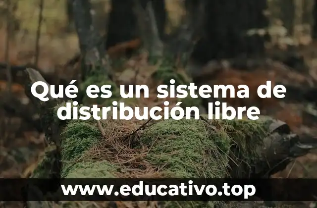 Qué es un sistema de distribución libre
