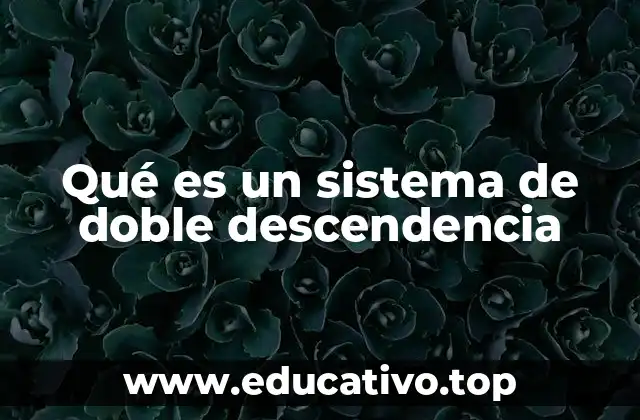 Qué es un sistema de doble descendencia