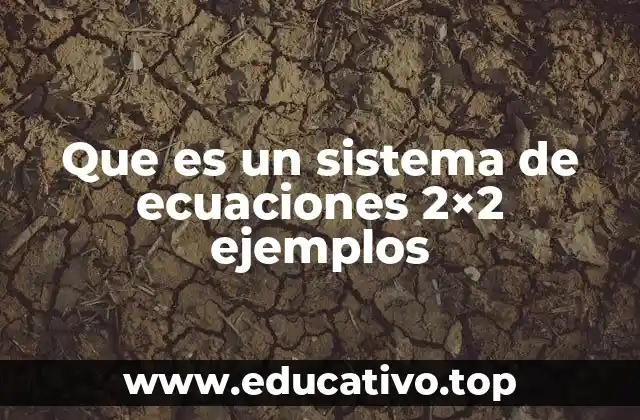 Que es un sistema de ecuaciones 2×2 ejemplos