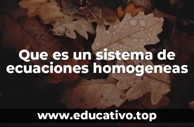 Que es un sistema de ecuaciones homogeneas