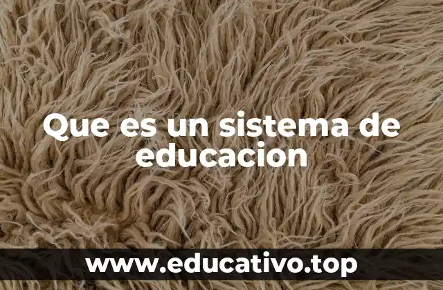 Que es un sistema de educacion