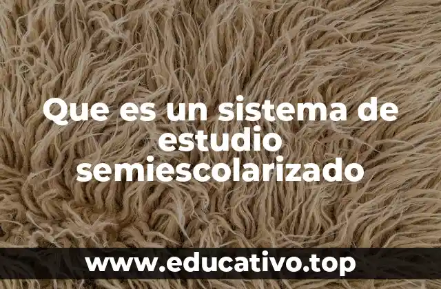 Que es un sistema de estudio semiescolarizado