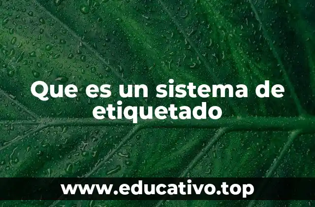 Que es un sistema de etiquetado