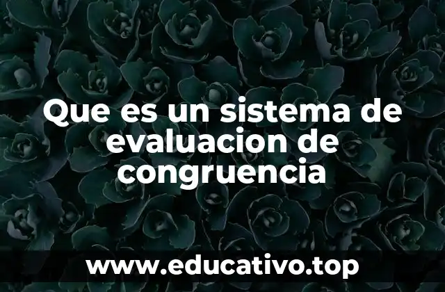 Que es un sistema de evaluacion de congruencia