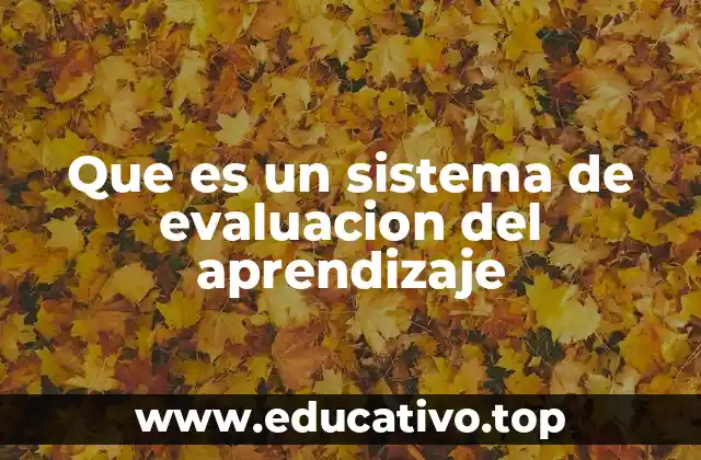 Que es un sistema de evaluacion del aprendizaje