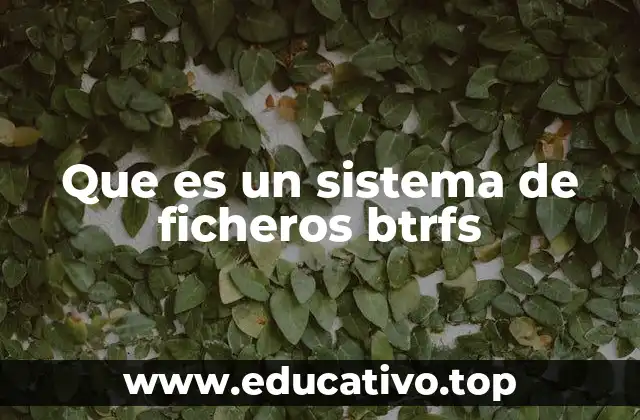 Que es un sistema de ficheros btrfs