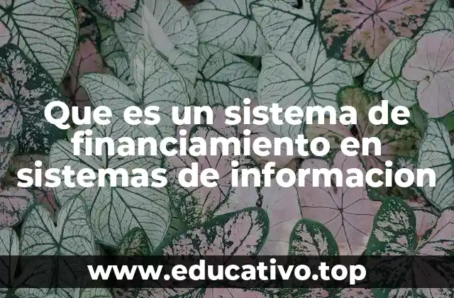 Que es un sistema de financiamiento en sistemas de informacion