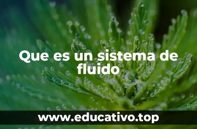 Componentes y funcionamiento de un sistema de fluido