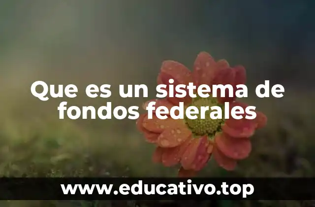 Que es un sistema de fondos federales