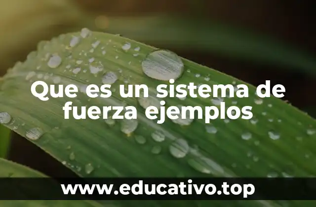 Que es un sistema de fuerza ejemplos